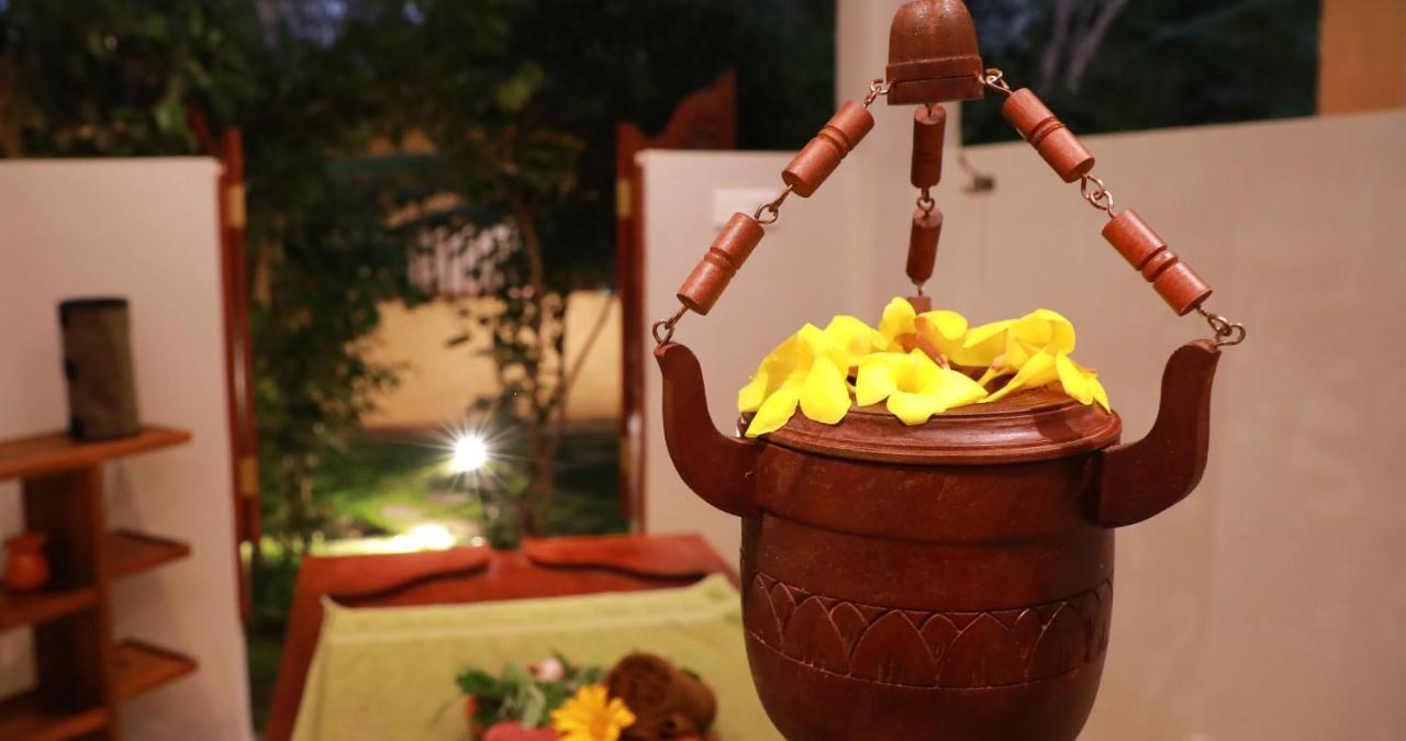 Terrace Garden Ayurveda Resort เวลิกามา ภายนอก รูปภาพ