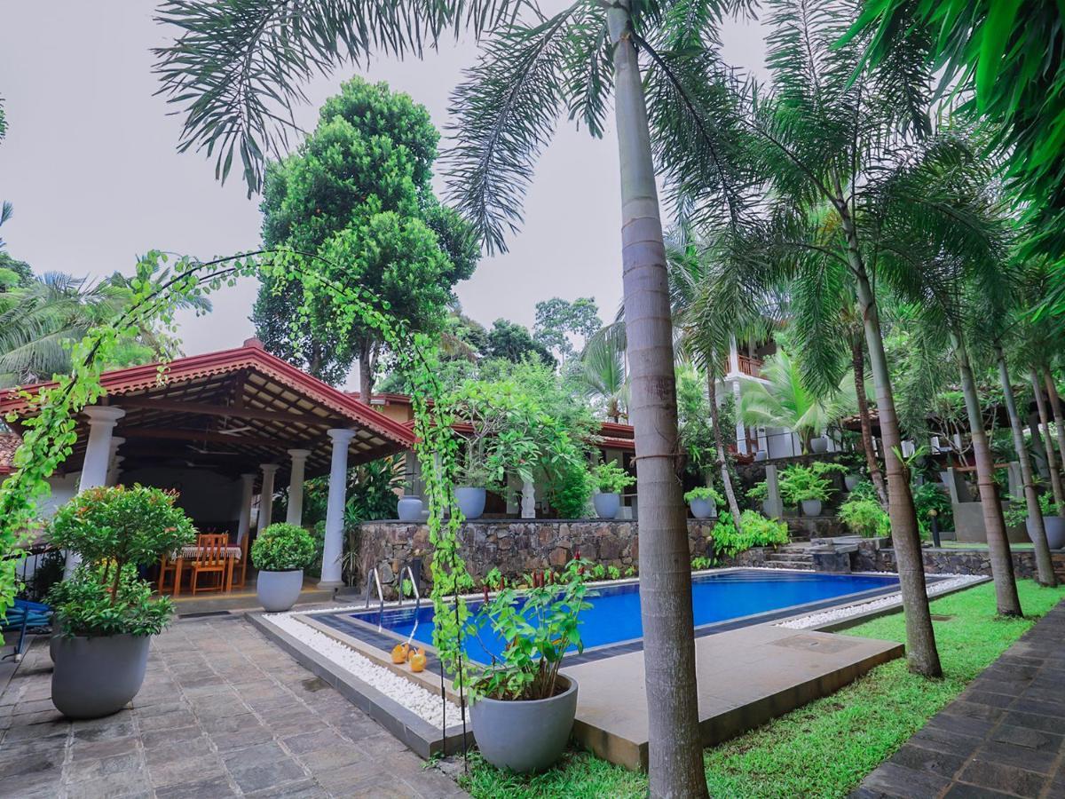 Terrace Garden Ayurveda Resort เวลิกามา ภายนอก รูปภาพ