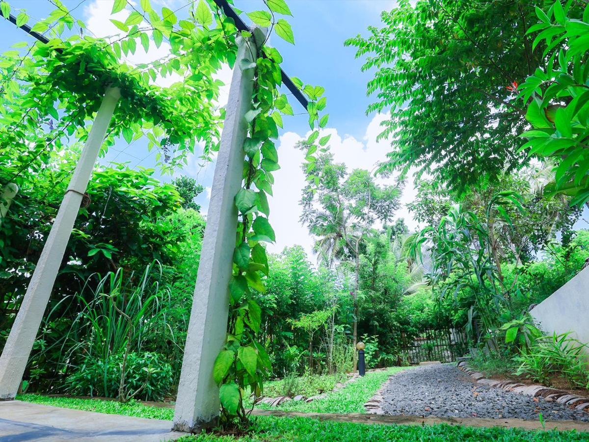 Terrace Garden Ayurveda Resort เวลิกามา ภายนอก รูปภาพ
