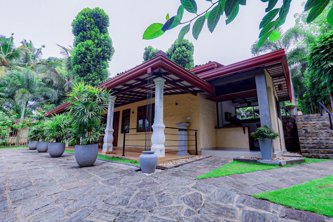Terrace Garden Ayurveda Resort เวลิกามา ภายนอก รูปภาพ