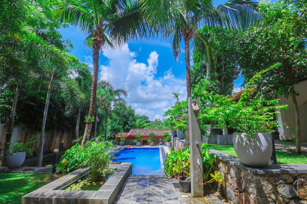 Terrace Garden Ayurveda Resort เวลิกามา ภายนอก รูปภาพ