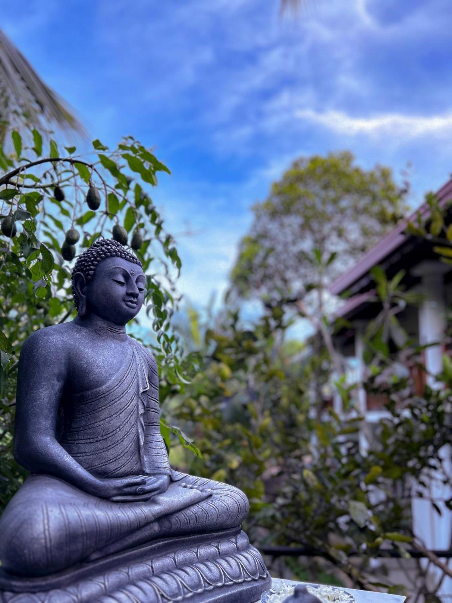 Terrace Garden Ayurveda Resort เวลิกามา ภายนอก รูปภาพ