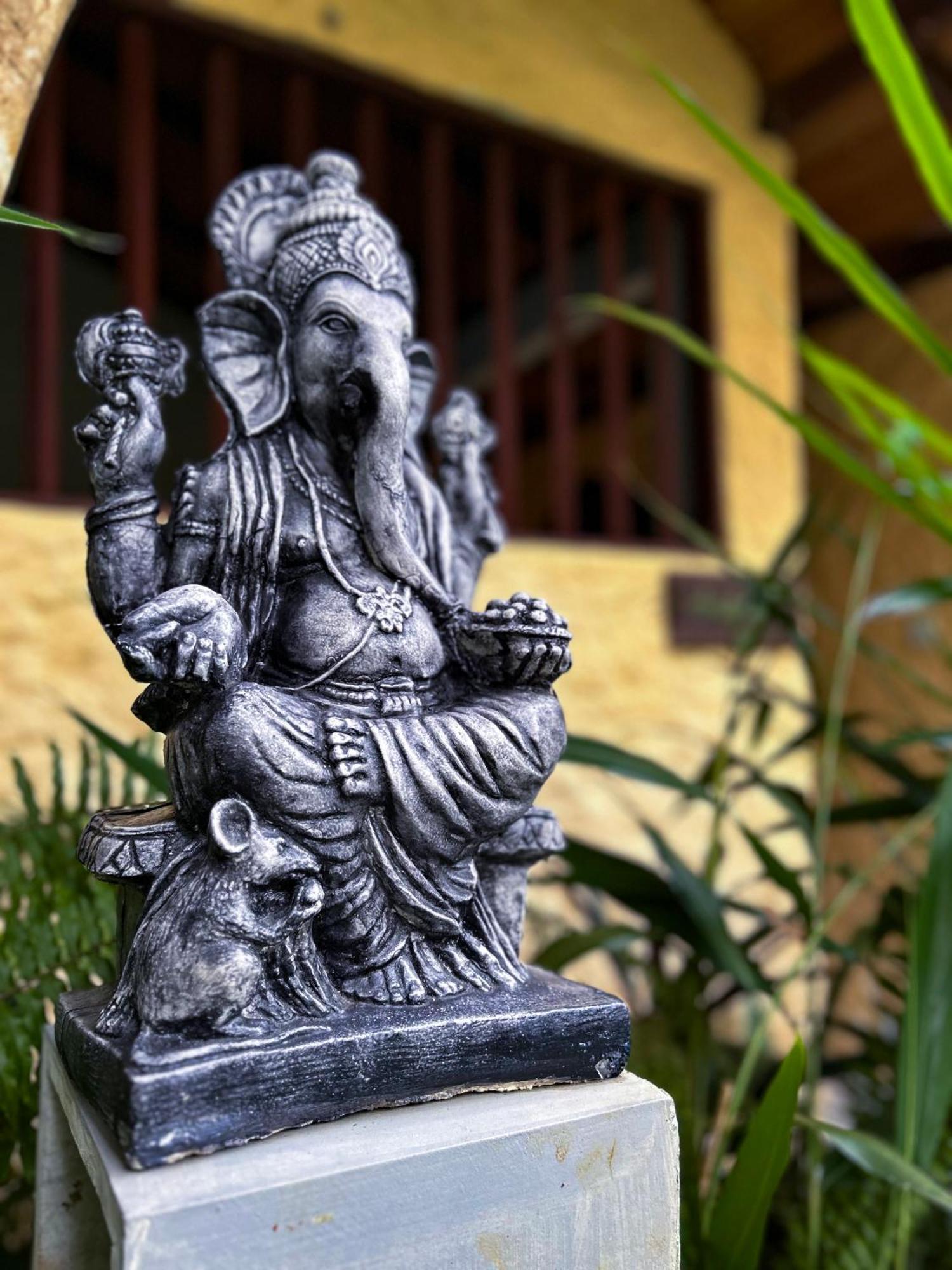 Terrace Garden Ayurveda Resort เวลิกามา ภายนอก รูปภาพ