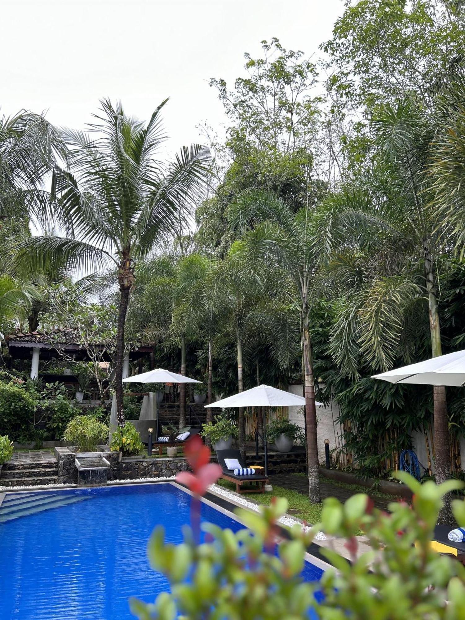 Terrace Garden Ayurveda Resort เวลิกามา ภายนอก รูปภาพ