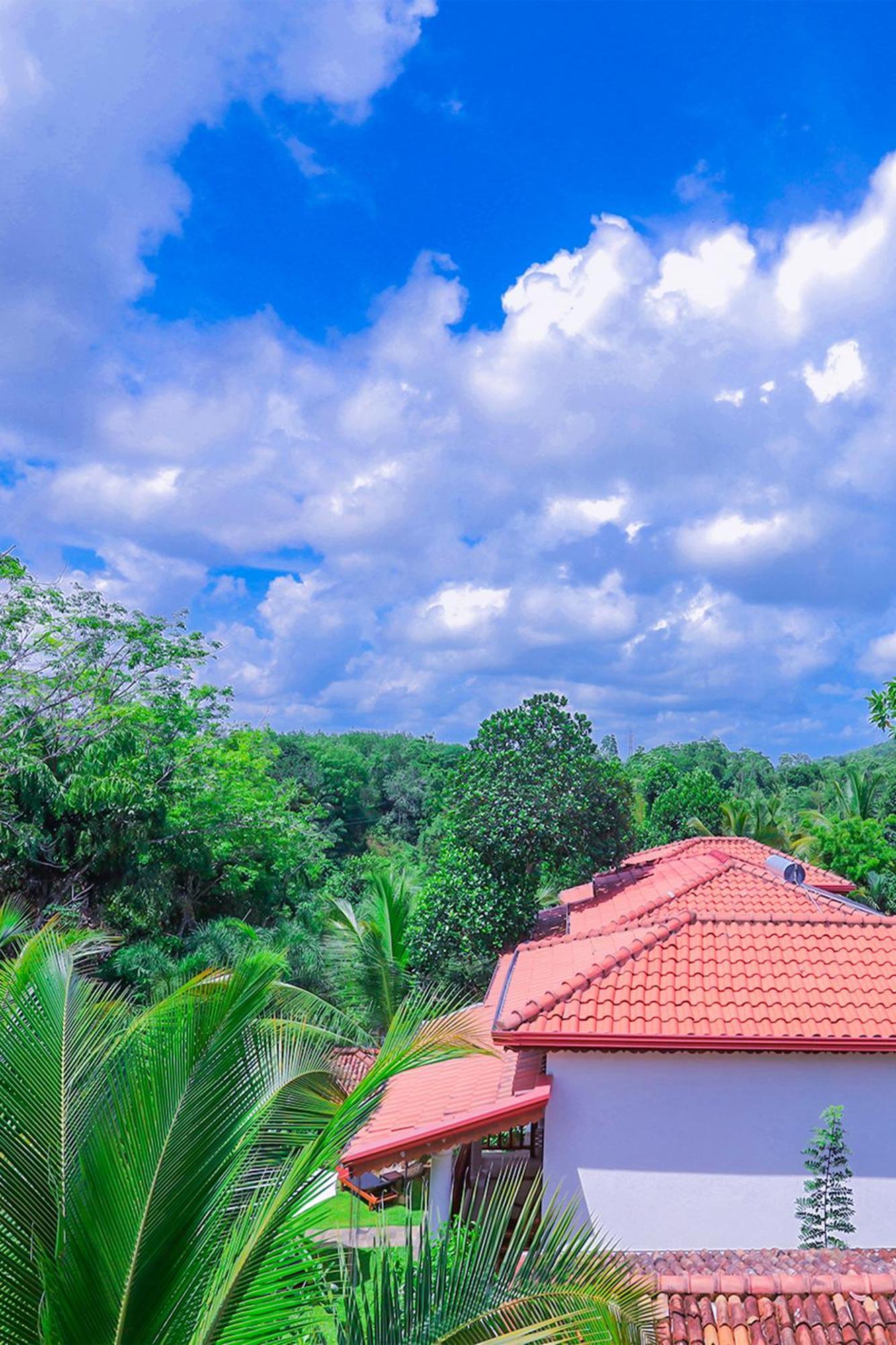Terrace Garden Ayurveda Resort เวลิกามา ภายนอก รูปภาพ